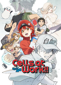 Khi Các Tế Bào Làm Việc (Phần 2) Cells at Work! S2