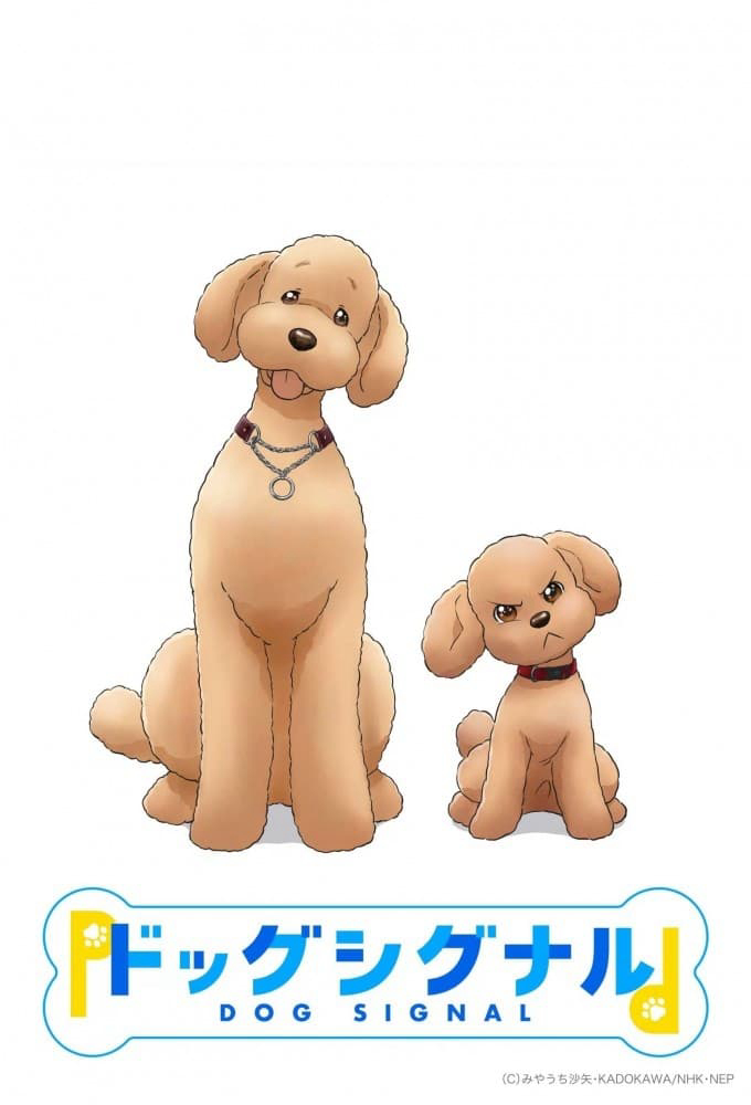 Tín Hiệu Cún Cưng Dog Signal